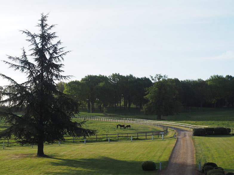 Crosmières Hotel Haras De La Potardiere מראה חיצוני תמונה
